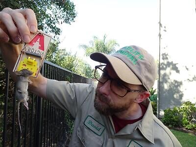 Richmond pest control